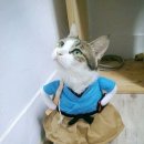 라헬