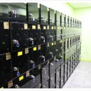 피티 인(PT IN) 이미지