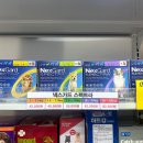 보룡약국 | 노원역 보룡약국 | 심장사상충약 넥스가드 스펙트라 가격