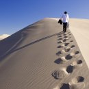 제로백PC방 이미지