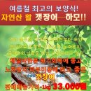 여름철 최강의 보양식 갯장어(하모) 판매가격. 이미지