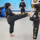 경남 합기도 이미지