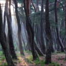 햇살찜질방 이미지