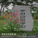 만석어린이공원 이미지