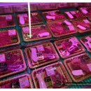 윤가네정육식당 - 광명시 | 윤가네정육식당
