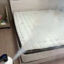 청아람케어 | 일산 매트리스 청소, 파주 소파 세척까지 직접 받아본 청아람케어 후기