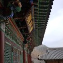 108 사찰순례 중 일흔일곱째 : 2019년 초봄 충청남도 가족여행 (2) 동학사 미타암 - 동학사가 품은 암자...