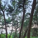 푸른숲산림엔지니어링