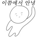 페리카나효가리점