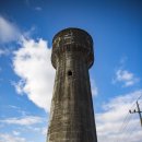 동산천 | 노란 봄 수놓인 돌담길 따라 추억 속으로…‘육지 속 제주도’ 경북 군위 시간여행