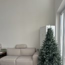 파르마 스테이 이미지