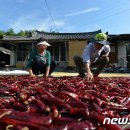 인동2리 이미지