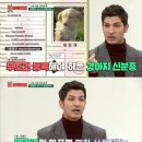 강아지 와요와요 이미지