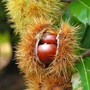 승민농장 이미지