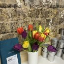 담아담아&장봐주는 언니 | Jan_3🇬🇧 런던에서 에어리얼 후프 시작! 죠의 한국어 공부, 백숙&amp;엽땡식으로 마라엽떡 해먹기