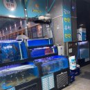 어사출또 하남시청점 | [하남맛집] 어사출또- 가족과 같이 가는 가성비 좋은 횟집 무한리필라면