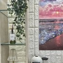 도봉-도봉-서울도봉-2543 이미지