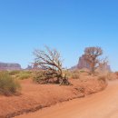 모뉴먼트 이미지