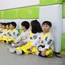 고려용호태권도 이미지