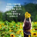 행복한 아침 이미지
