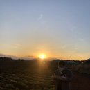 청초농장 이미지