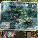 홍성 중담1공영주차장 | 홍성 용봉산 등산 후기_정상에 고양이가 사는 산 (용봉산 무료 주차장 , 고양이 산, 고양이 위치...