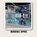 평택 키즈카페 추천 대형 실내 놀이터 플레이 월드 후기