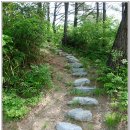 수목다실 이미지