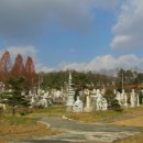 충주 탄금대와 탄금대공원 Daum카페