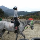 동부초등학교 율포분교 이미지