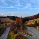 공설묘지 이미지