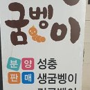 에이스굼벵이