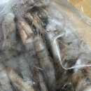 대하탕 | 구스통 자연산 대하새우 세척법 후기 대하탕 대하찜