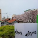 선화동사진관 이미지