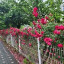 서일카센타 이미지