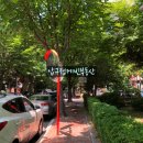 압구정-122 이미지