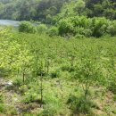 방장산 농장 이미지