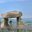 라벤더포차 이미지