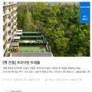 못된강아지 | 충주애견동반 여행 켄싱턴리조트 충주 프라이빗로얄스위트펫 패키지 비추후기