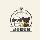 살롱드멍뭉 이미지