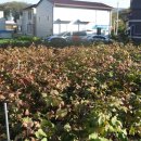 강남동-10 이미지