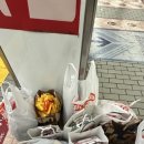 채원텍스 이미지