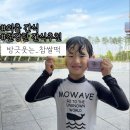 하원 후 아이 간식 외출 간식으로 추천하는 유기농 방긋웃는 찹쌀떡 3종 세트 솔직후기