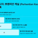 🏝️✨ 숨겨진 동남아 해변 명소, 조용하고 아름다운 곳 (나만 알고 싶은 보석!)