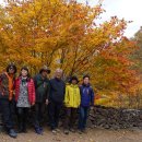 통영초등학교 이미지