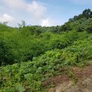 케이블카펜션 이미지