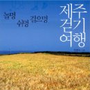 제주집2009
