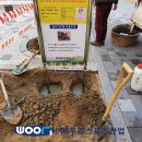 옥빛초등학교 이미지