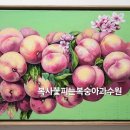 강보아트
