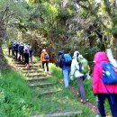 보령 외연도 (1) 이미지